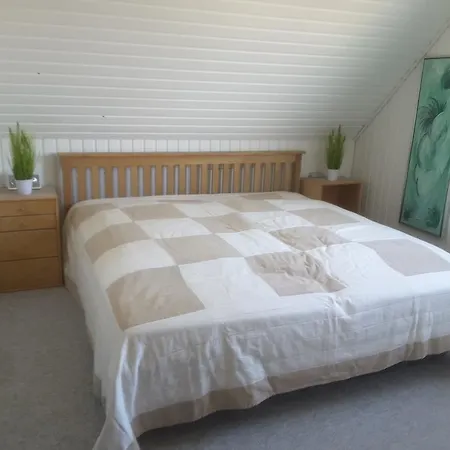 Surfers Lounge * ヴィデ・サンデ